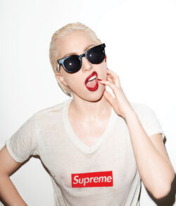 Terry Richardson | Gagapedia | Fandom