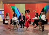 The View (Nov 26, 2014)