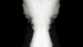 Snapshot - 22.jpg (182 KB)