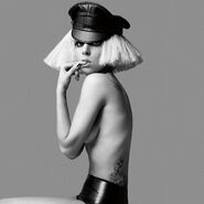 2009-10: The Fame Monster