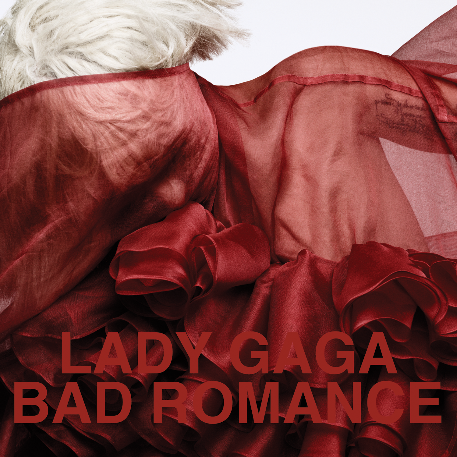 VaVa Dudu】MA-1ジャケット【LADY GAGA】 | monsterdog.com.br