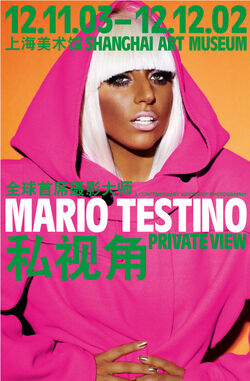 Mario Testino/6-22-09 | Gagapedia | Fandom