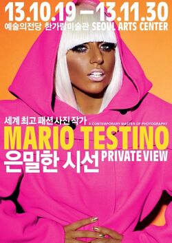 Mario Testino/6-22-09/Media | Gagapedia | Fandom