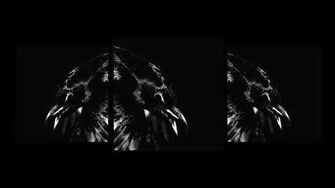 Raven_Film_(First_version)