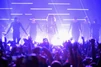 4-4-14 Roseland Ballroom 004.jpg (651 KB)