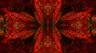 SHOWstudio-JustDance-07.png (1,44 МБ)