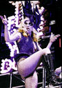 The Monster Ball Tour 2.0 (2010-2011)