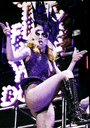 Monster Ball Tour 2.0 (2010-2011)