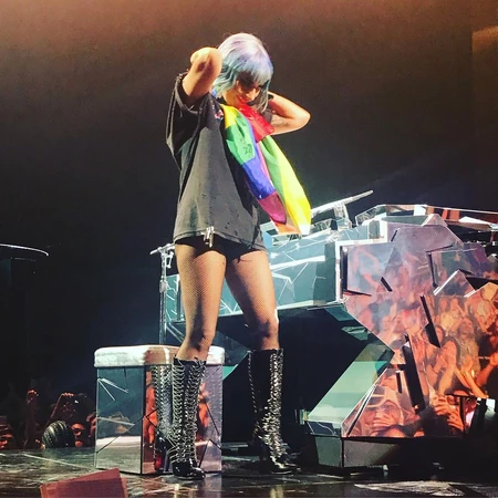 2019 June Gagapedia Fandom You are very blessed to have a norbert in your life! 2019 june gagapedia fandom