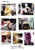 ① "Hair Art", ②"Jeff Koons hair", ③ Flower made with hair, ④ Lady Gaga with a piece by Lie Sang Bong in Korea on August 10 of 2009, ⑤ "Designed by Konishi for Nagi Noda" Lady Gaga with a brown elephant hair in Tokyo on August 4 of 2009, ⑥ A bat hair, ⑦ Purple bee hive in Copenhagen, Denmark on July 31 of 2009.