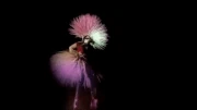 Unused backdrop visuals by  for the artRAVE in 2014.