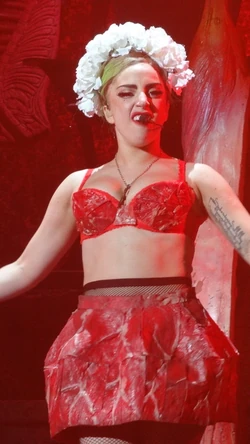 The Born This Way Ball/Show/Act IV | Gagapedia | Fandom