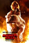 Machete Kills (2013) Режиссёр - Роберт Родригес