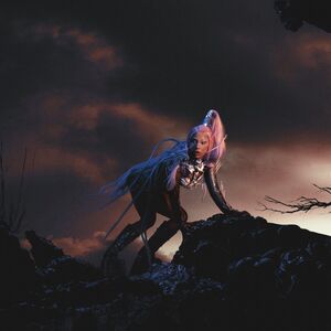 Norbert Schoerner Gagapedia Fandom His work has been featured in the ny times magazine, vogue and another magazine. norbert schoerner gagapedia fandom