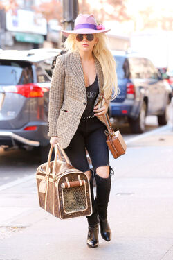 Louis Vuitton Gagapedia Fandom