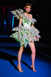  (Spring/Summer 2008)