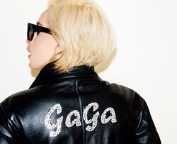 Terry Richardson/8-22-10/1 | Gagapedia | Fandom