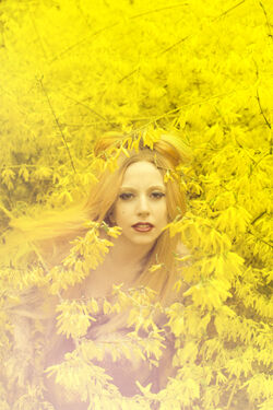サイン入り】RYAN McGINLEY 写真集 - メルカリ