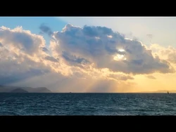 2025_—_Year_in_Search