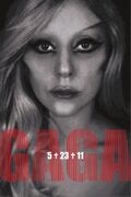 Born This Way Promotional Poster.jpg
