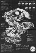 Chromatica map image
