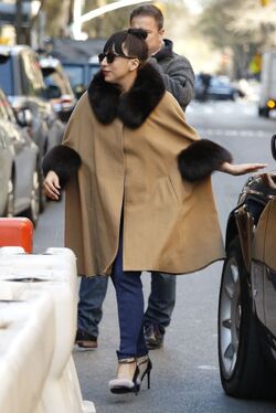 Adrienne landau hotsell cape
