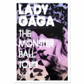 Leopard Tour Poster