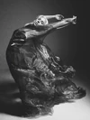 Photography by Mario Sorrenti