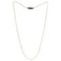 (Mikimoto)