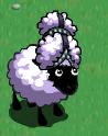 The Fame Sheep