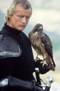 Navarre&Ladyhawke