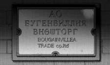 Bougainvillea sign