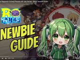 Newbie Guide