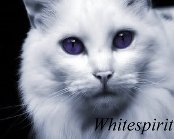 Whitespirit