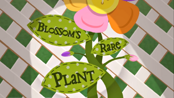 Blossom's Rare Plant title card