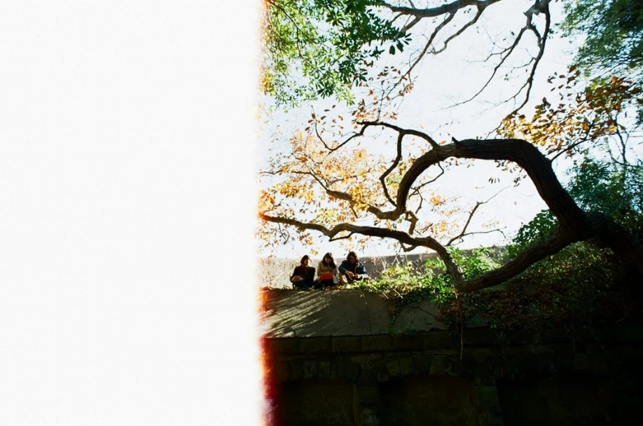 Lamp 或る夜 CD Aru Yoru | Lamp Wiki | Fandom