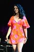 Lana-del-rey-performs-at-2014-coachella-music-festival-day-3 8