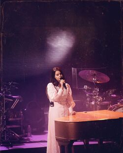 Lana singing Night Shift with Lucy Dacus in Chicago on November 8, 2019 :  r/lanadelrey