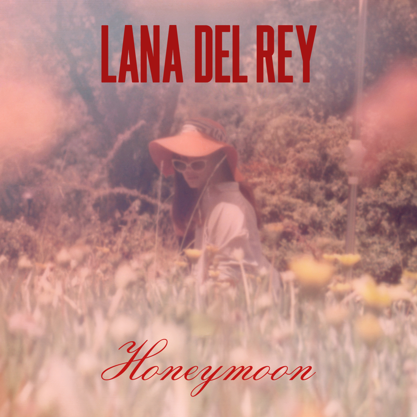 Paradise (EP), Lana Del Rey Wiki