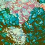 NK 4 2.jpg (461 KB) Print 8