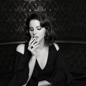 Timothy Saccenti Lana Del Rey Wiki Fandom