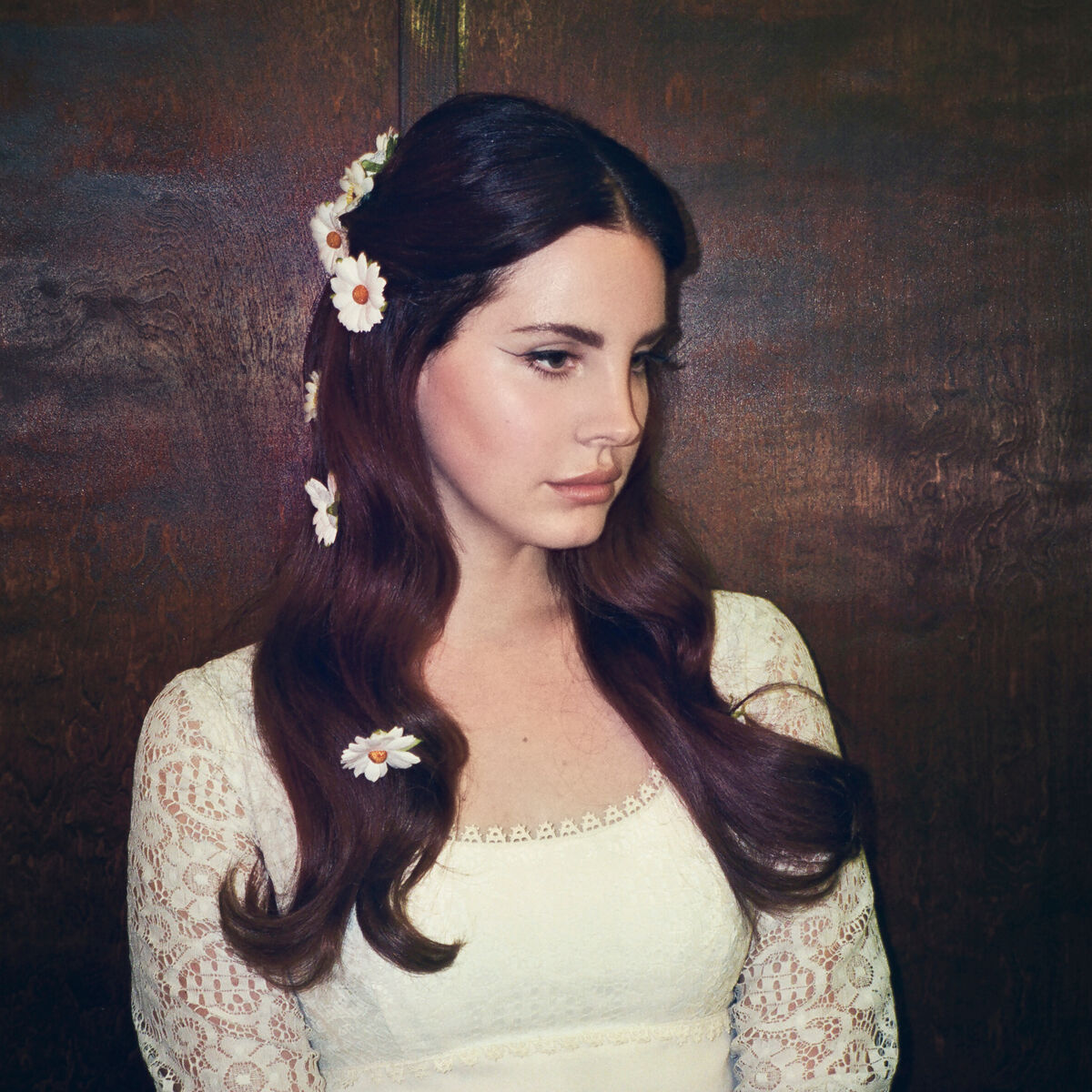 Coachella Woodstock In My Mind Song Lana Del Rey Wiki Fandom