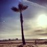 West Coast BTS 2-2419