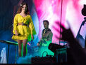 Outsidelands2016-lanadelrey-davidbrendanhall-02