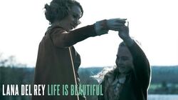 life is beautiful song lana del rey