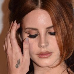 List Of Tattoos Lana Del Rey Wiki Fandom