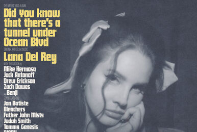 Lana Del Rey Announces New Album 'Lasso