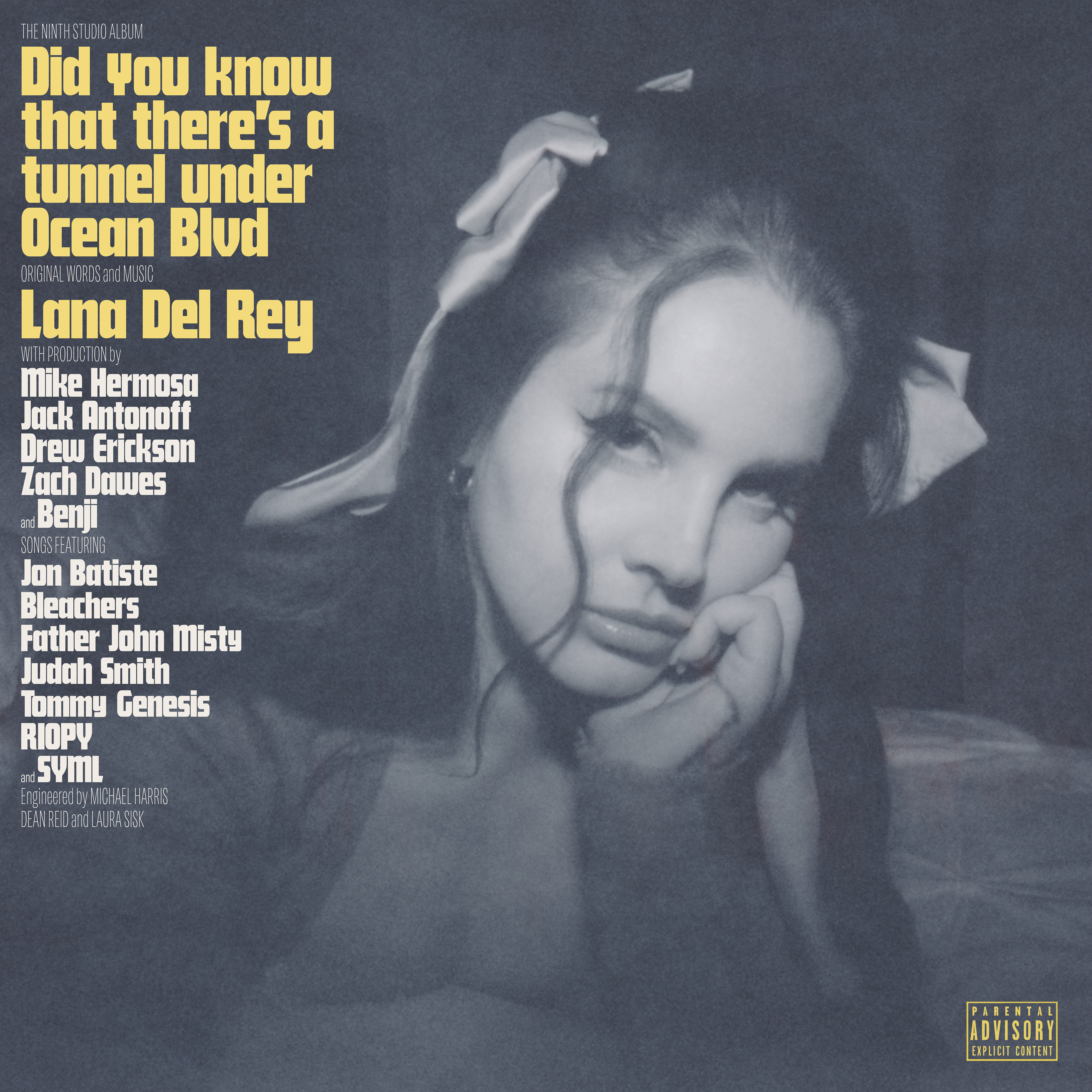 Lana del Rey Official Store - Did you know that there's a tunnel under  Ocean Blvd - Lana Del Rey - CD ALT COVER 1