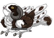 Jacob Sheep Rune Dragon