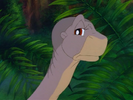 Littlefoot feels like Cera's plan will work